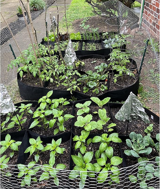 CJGQ 2 Pack Fabric Raised Garden Bed 6x3x1ft Garden Grow Bed Bags - Image 6