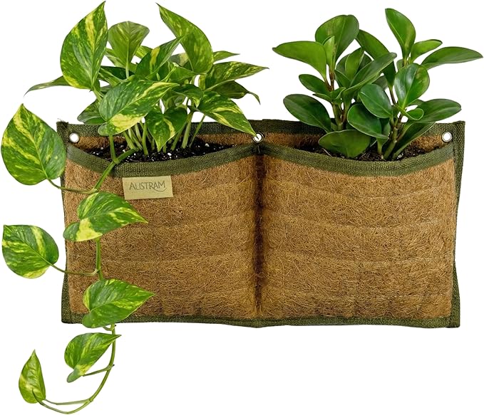 Wall Hanging Planter, 2 Pocket, Hanging herb Planter, wall Mounted Plant Holder by Austram