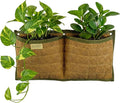 Wall Hanging Planter, 2 Pocket, Hanging herb Planter, wall Mounted Plant Holder by Austram