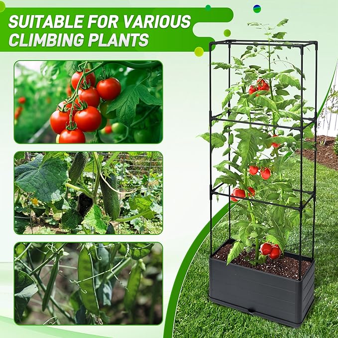 2 Packs Raised Garden Bed Tomato Planter Box - Image 7