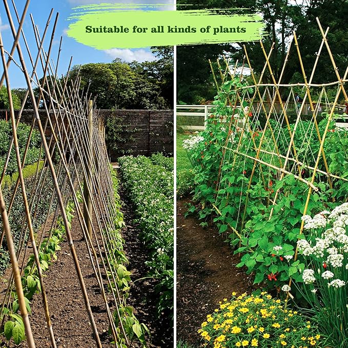 15pcs 3/4" D Thicker Heavy Duty Bamboo Stakes, 7FT Plant Stakes, Natural Garden - Image 8
