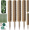 Moss Pole 47.5 Inch by Fabulas