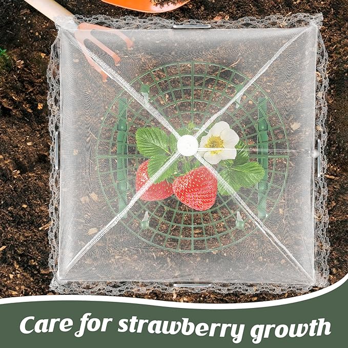 6 Sets Strawberry Plant Support - Image 5