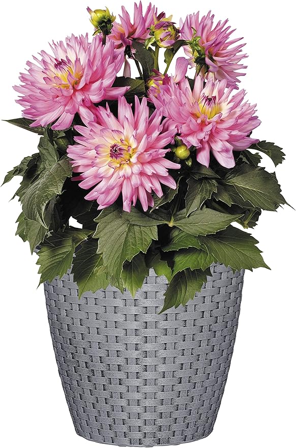 Classic Home and Garden Nantucket Planter - Image 3
