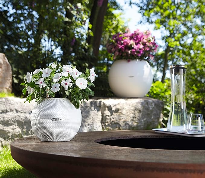 Lechuza Puro Color 20 White, Self-Watering Small Indoor Planter, D7.9 H6.3 in - Image 8