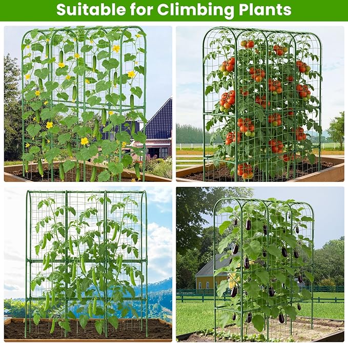 2 Pack 65in Tall Cucumber Trellis - Image 4