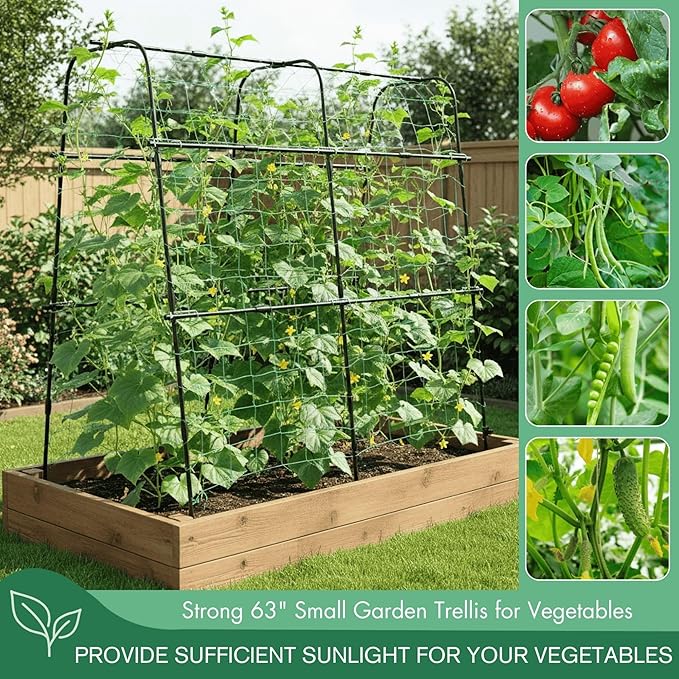 Cucumber Trellis Arch 5.3FT Black PP Coated Stainless Steel Garden Arch Trellis - Image 4