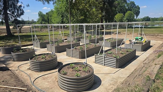 A ANLEOLIFE 16-Pack Deep Root Galvanized Raised Garden Beds Outdoor - Image 3