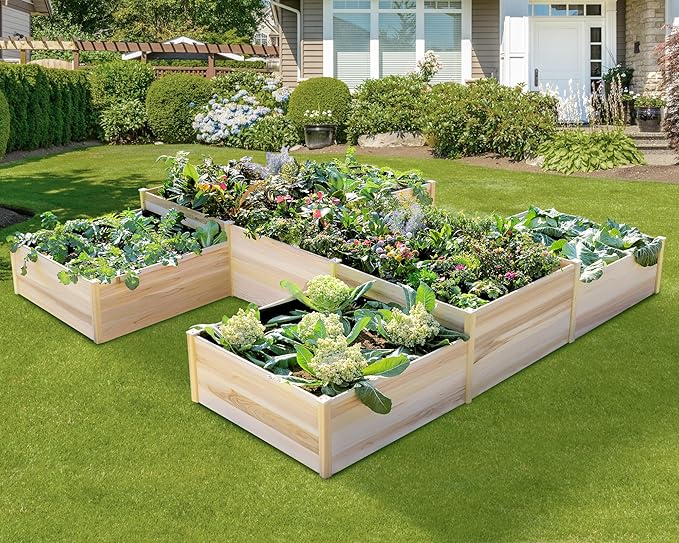 AMERLIFE Raised Garden Bed – 12x12x2 ft H-Shaped Wooden Planter Box, 180 Cu. Ft by AMERLIFE