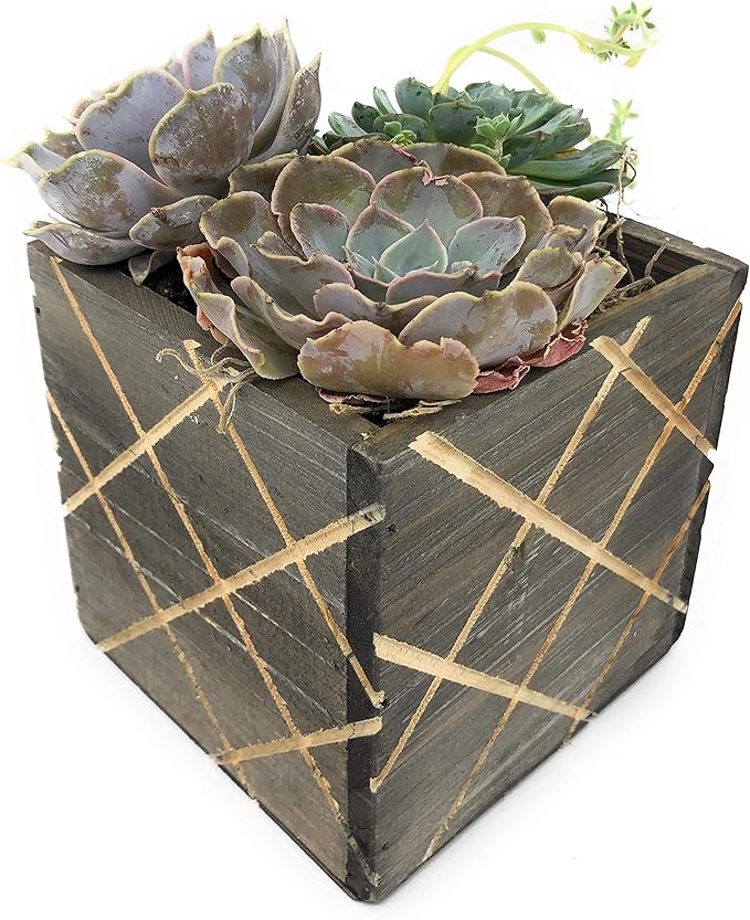 Wood Planter Box with Diamond Cross Hatch Style, 5 Inch Square, Rustic Barn Wood - Image 5