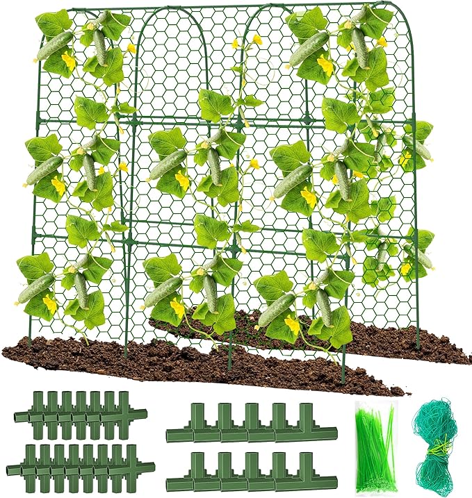 Cucumber Trellis, Foldable Trellis Cucumber by DSTANA