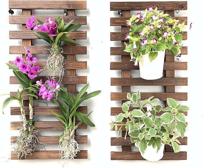 ShopLaLa Wall Planter by ShopLaLa