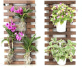 ShopLaLa Wall Planter by ShopLaLa