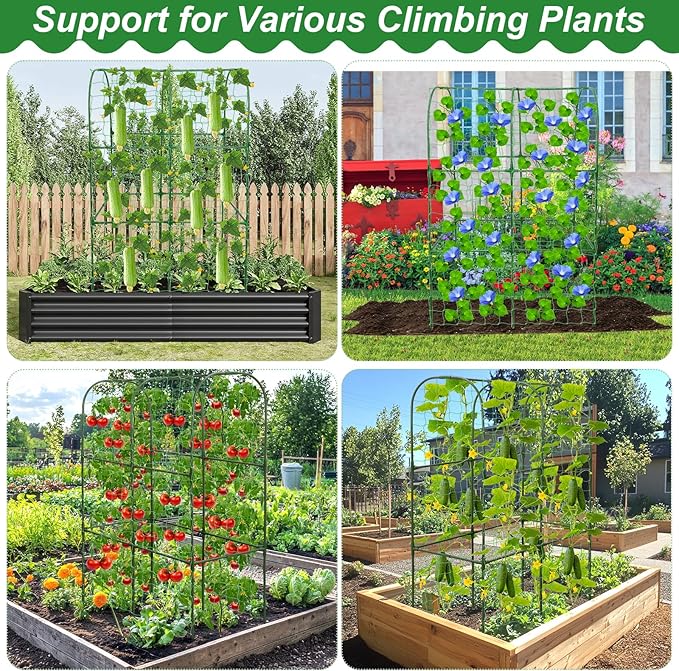 Cucumber Trellis for Raised Bed 50 x 34 Inch U-Shape Garden Trellis for - Image 5