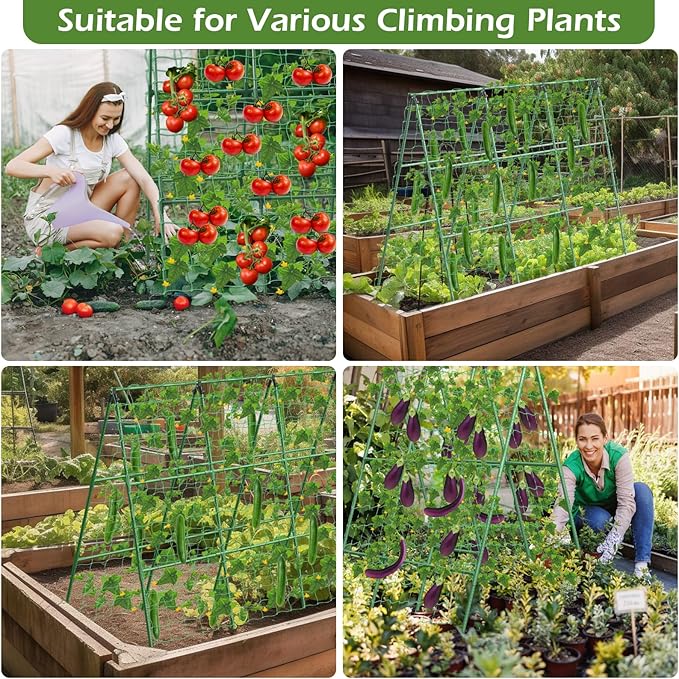 Cucumber Trellis for Raised Beds, 45 x 53 Inch Adjustable Size A-Frame Garden - Image 7