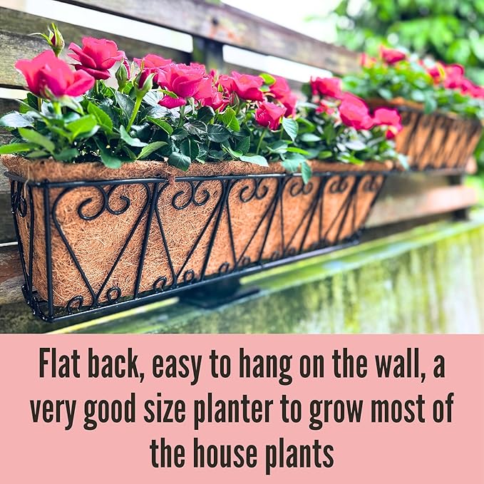 LaLaGreen Outdoor Wall Planters - Image 6
