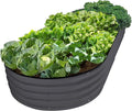 Plant & Plot Galvanized Raised Garden Beds Outdoor // 8×4×1 ft Planter Raised by PlantPlot