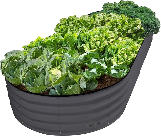 Plant & Plot Galvanized Raised Garden Beds Outdoor // 8×4×1 ft Planter Raised by PlantPlot