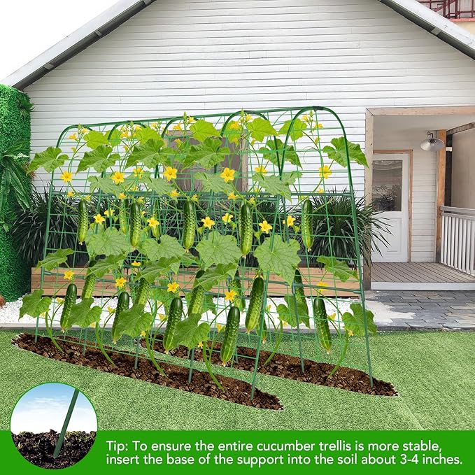 Cucumber Trellis for Raised Bed, U-Shape Garden Trellis for Climbing Plants - Image 7