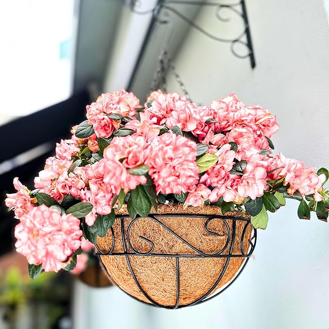 LaLaGreen Hanging Planter for Outdoor Plants Hanging Baskets by L%C3%A1L%C3%A1Green