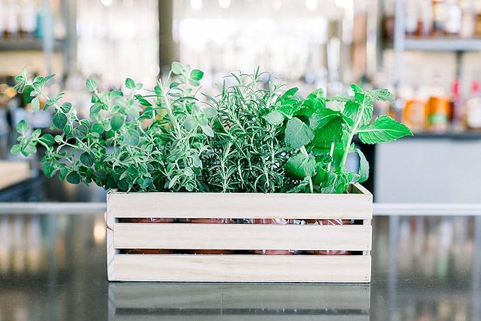 Wood Planter Box with Wine Crate Styled, 12x4 Inch Rectangular, Rose Wood - Image 8