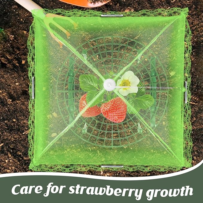 6 Sets Strawberry Plant Support - Image 5
