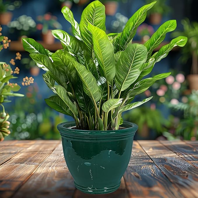 Sunnydaze Large Ceramic Plant Pot - Image 6