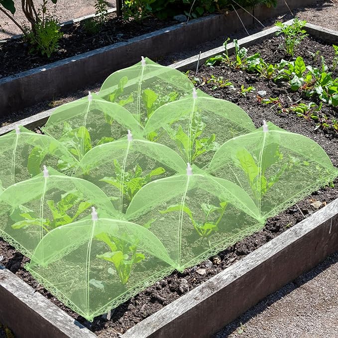 6 Sets Strawberry Plant Support - Image 7