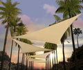 Amgo Custom Size 19' x 19' x 19' Beige Triangle Sun Shade Sail Order to Make by Amgo