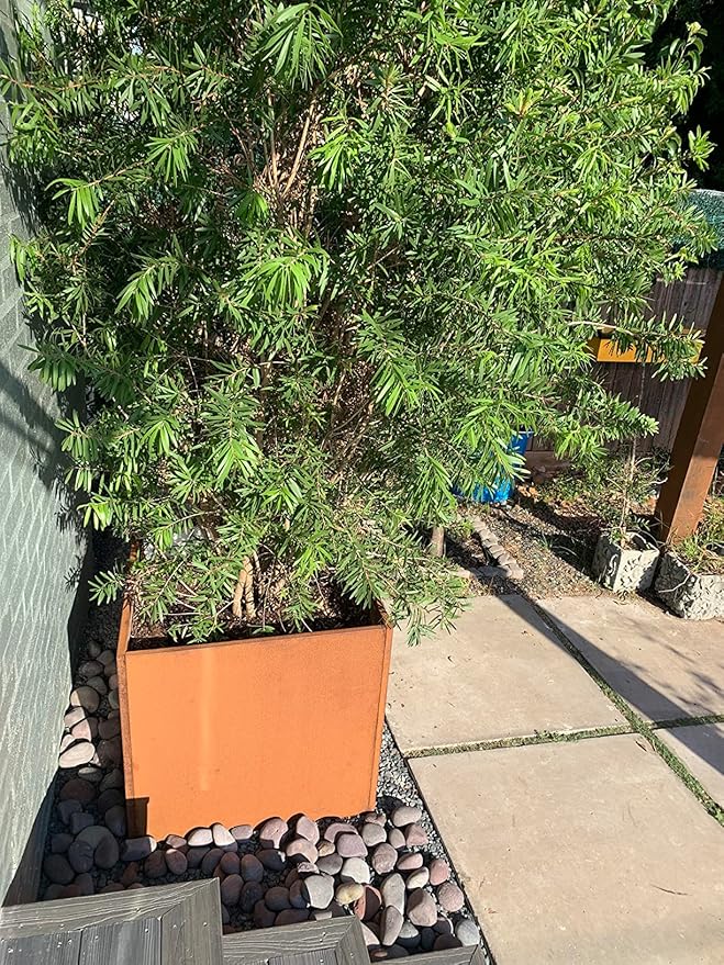 Corten Steel Planter Box Metal Square Planters 26 Inch Steel Large Outdoor - Image 7