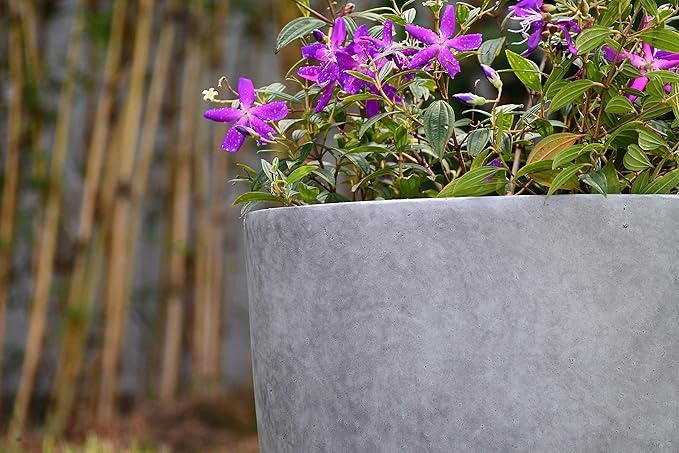 Kante 14 Inch Dia Round Concrete Planter, Indoor Outdoor Large Plant Pot - Image 12