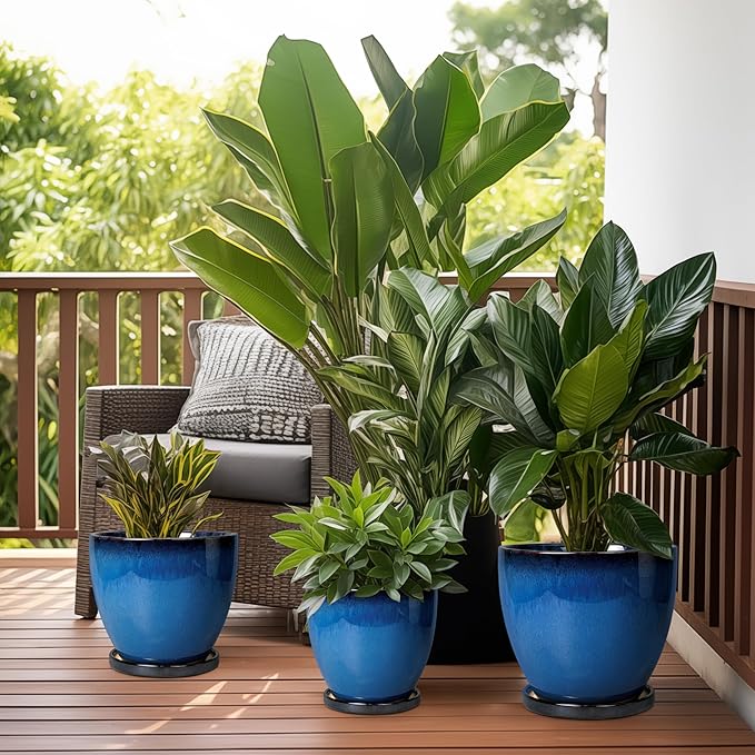 Ceramic Pots for Plants - Image 7