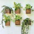 LaLaGreen Wood Planter Boxes for Indoor Plants Small Square Wall Mounted by L%C3%A1L%C3%A1Green