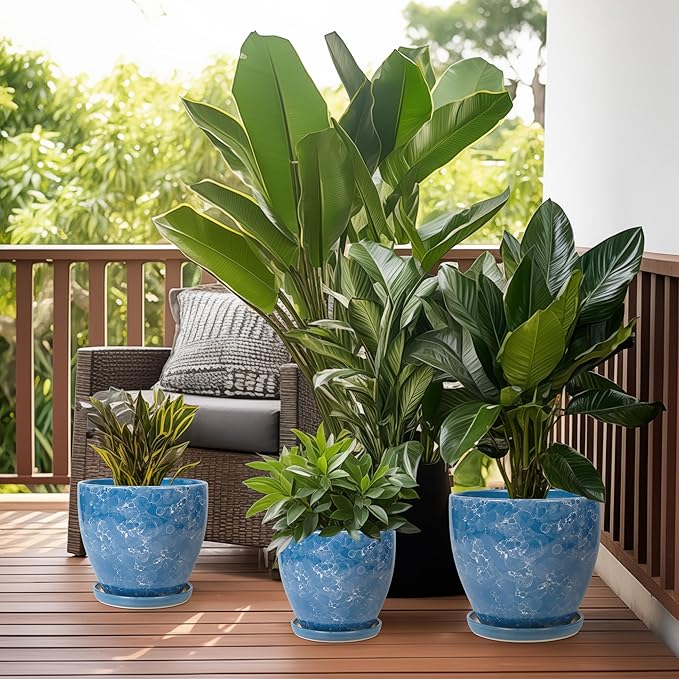 8 Inch Plant Pot - Image 5