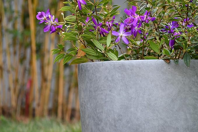 Kante 14 Inch Dia Round Concrete Planter, Indoor Outdoor Large Plant Pot - Image 14