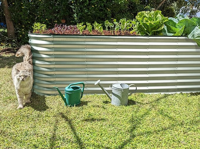 Plant & Plot Galvanized Raised Garden Beds Outdoor // 6×2×2 ft Planter Raised - Image 6
