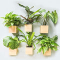 LaLaGreen Wooden Planter Box for Plants Small Square Wall Planters for Indoor by L%C3%A1L%C3%A1Green