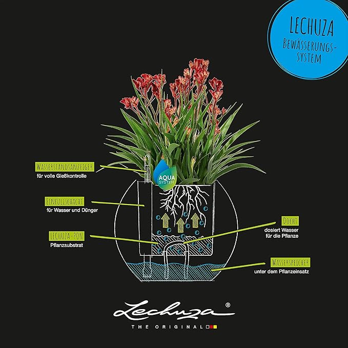 Lechuza Puro Color 20 Slate, Self-Watering Small Indoor Planter, D7.9 H6.3 in - Image 5