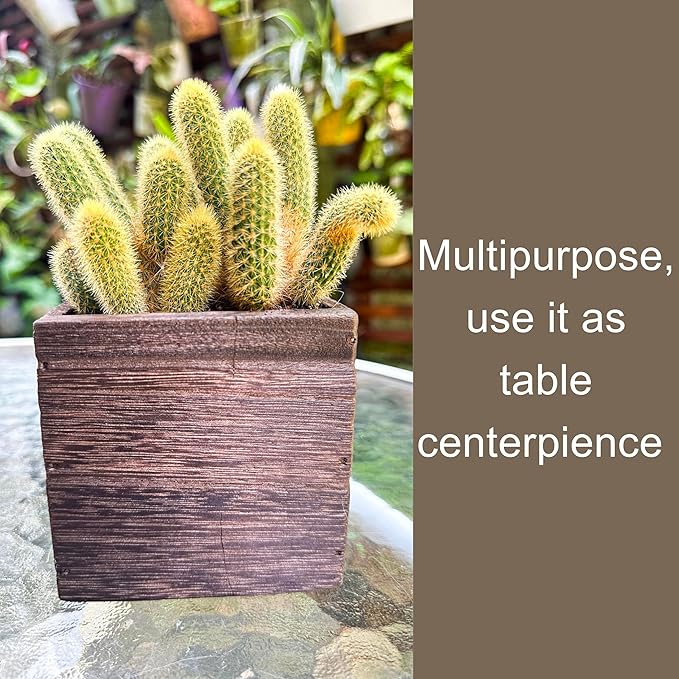 LaLaGreen Wood Planter Boxes for Plants Small Square Wall Mounted Planters for - Image 6