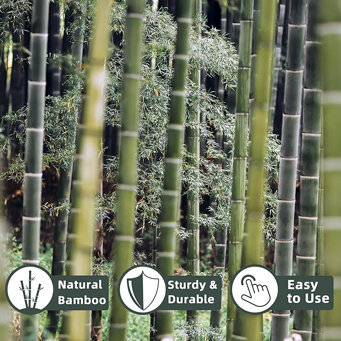 50Pcs / 2ft Bamboo Plant Stakes - Image 2