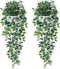 Waipfaru 2Pcs Fake Hanging Plants by Waipfaru