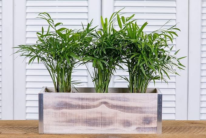 Wood Planter Box with Tin Style, 12x4 Inch Rectangular, Plastic Liner, Garden - Image 5
