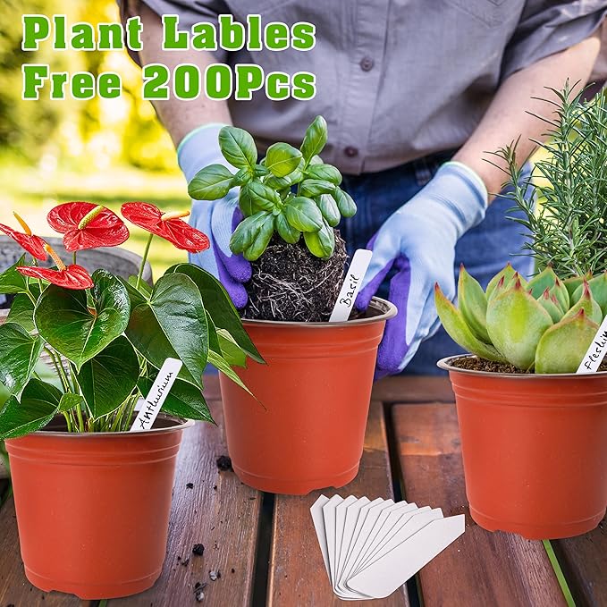 TDHDIKE 6 Inch Plastic Plant Nursery Pot/Pots - Image 4