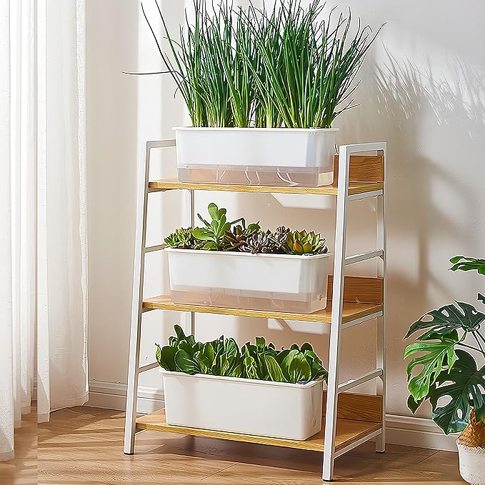 FAMZ Self Watering Pots for Indoor Plants 3 Pack Transparent Rectangular - Image 3