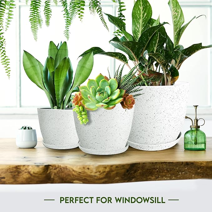 Utopia Home - Spotty Plant Pots Indoor - 7/6.6/6/5.3/4.8 Inches Flower Pots - 5 - Image 4