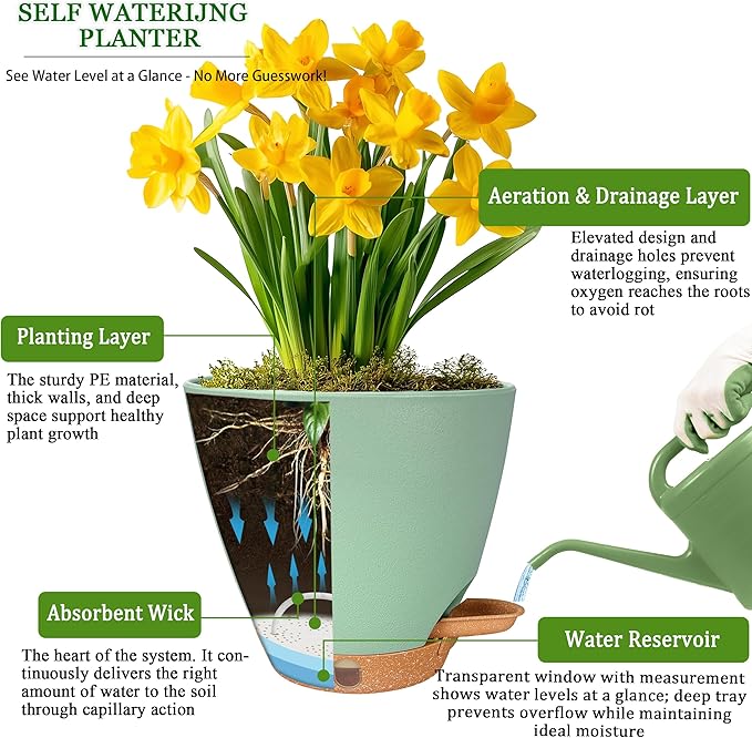 6 Inch Self Watering Pots for Indoor Plants – Small Plastic Planters - Image 7