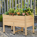 AMERLIFE 4x2 Ft Raised Garden Bed by AMERLIFE