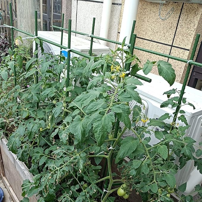 6Ft 72inch Garden Stakes Sturdy Plant Sticks Support Tomato Stakes - Image 3