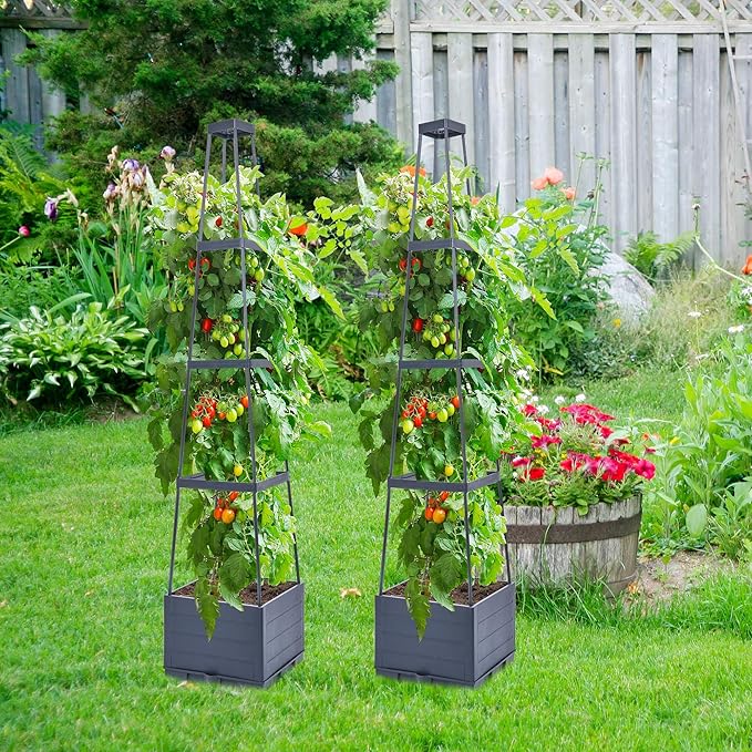 GENMOUS Raised Garden Bed with Tomato Planter Box Trellis, Tomato Planter Cage - Image 6