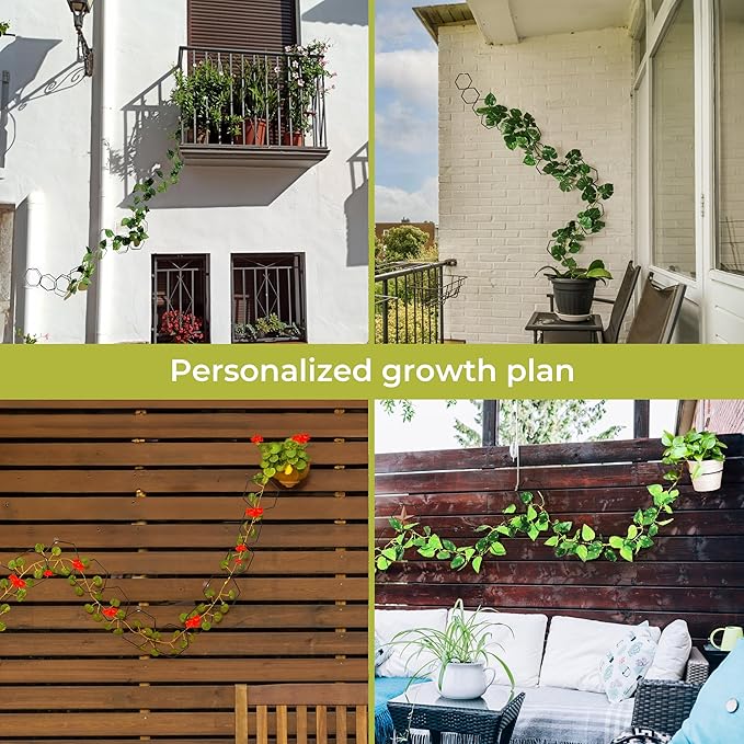 Chain Trellis for Climbing Plants - Image 6